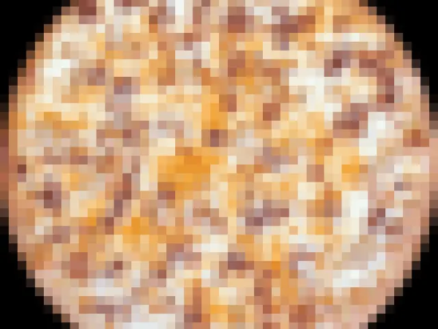 Chicken Bacon Ranch